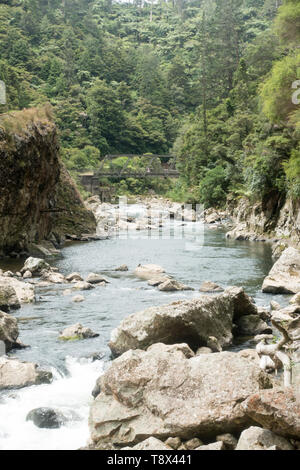 Ein Wander- und Radweg auf der alten Bahnlinie in der Karangahake Gorge, Teil des Hauraki Rail Trail Stockfoto