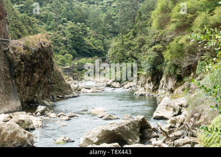 Ein Wander- und Radweg auf der alten Bahnlinie in der Karangahake Gorge, Teil des Hauraki Rail Trail Stockfoto