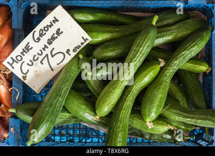 Gurken für den Verkauf in einem blauen Korb Stockfoto