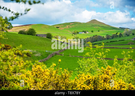 Shutlingsloe, manchmal genannt die Cheshire Matterhorn, im Peak District National Park Stockfoto