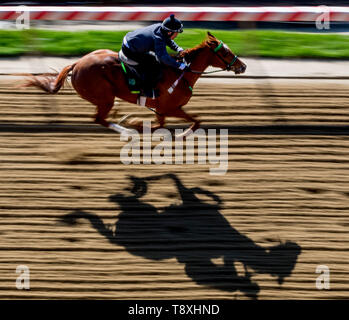 Baltimore, MD, USA. 15 Mai, 2019. Mai 15, 2019: als Pferde für Preakness Woche am Pimlico Rennstrecke in Baltimore, Maryland. Scott Serio/Eclipse Sportswire/CSM/Alamy leben Nachrichten Stockfoto