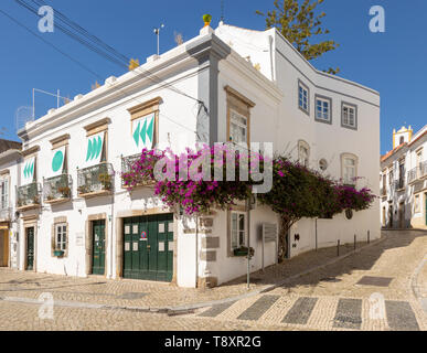 Bougainvillea Pflanze in Blüte weiß getünchten Haus Altstadt, Tavira, Algarve, Portugal wachsende, Südeuropa Stockfoto