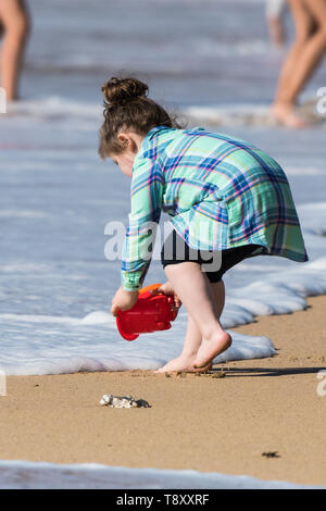 Ein Kleinkind, die versucht, ihr Eimer mit Meerwasser, ohne sich die Füße nass auf den Fistral in Newquay in Cornwall zu füllen. Stockfoto