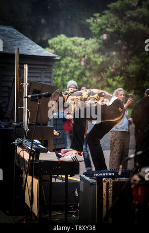 Mike Porter, Keyboarder von Smoove & Turrell, einer Gruppe von Nord Osten von England Durchführen ihrer nördlichen Funk im Trebah Garten in Cornwall. Stockfoto