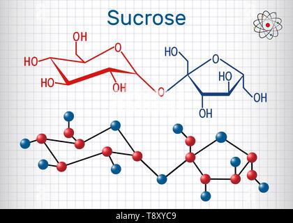 Saccharose Zucker Molekül. Strukturelle chemische Formel und Molekül-Modell. Blatt Papier in einem Käfig. Vector Illustration Stock Vektor