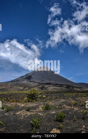 Kap Verde, Cabo Verde Archipel, Insel Fogo: Landschaft der "Cha das caldeiras "Caldera in der Nähe des Pico do Fuego Vulkan *** Local Caption *** Stockfoto