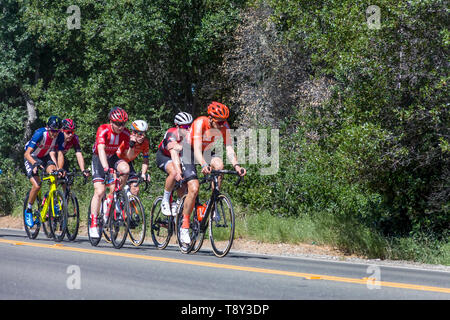 Amgen, Tour von Kalifornien, Sacramento, CA - 13. Mai 2019: Amgen, Tour von Kalifornien Rennen ist auf dem Weg nach South Lake Tahoe, Kalifornien während Phase 2 Stockfoto