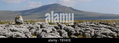 Kalkstein Pflaster - ein Bereich, der aus Kalkstein vom Wasser erodiert - auf Skalen Moor in den Yorkshire Dales, UK, mit Ingleborough im Hintergrund Stockfoto