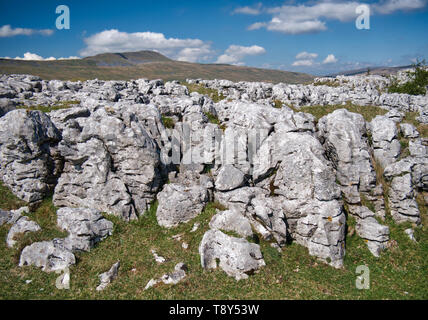 Kalkstein Pflaster - ein Bereich, der aus Kalkstein vom Wasser erodiert - auf Southerscale Narben in den Yorkshire Dales, UK, mit Whernside im Hintergrund Stockfoto