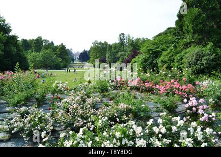 Mailand/Italien - Juni 1, 2015: Panoramablick auf Bogen von Frieden und Büsche von Rosen von Simplon Park, Parco Sempione in Mailand. Stockfoto
