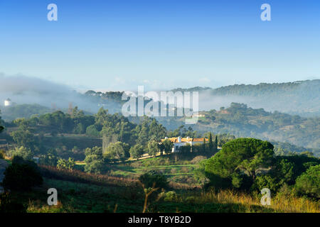 Naturparks Arrabida in einem nebligen Morgen. Palmela, Portugal Stockfoto