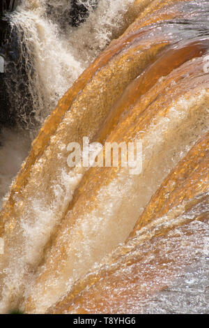 Cascading Wasser über Kakabeka Falls, Ontario. Die Farbe des Wassers, wenn durch im Wasser aus der Vegetation zu Tannin.