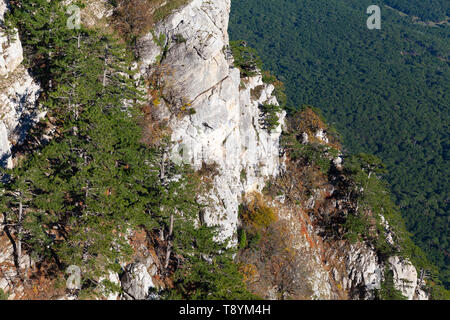 Rocky Mountain Landschaft am sonnigen Tag. Natürliche Foto auf ai-petri Peak in der Krimberge genommen Stockfoto