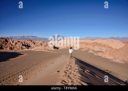 Ansicht der Licancabur Vulkan über der Wüste Landschaft im Valle Marte, San Pedro de Atacama, Chile Stockfoto