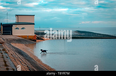 Concord Strand an der Küste von Canvey Island, Essex, Großbritannien Stockfoto