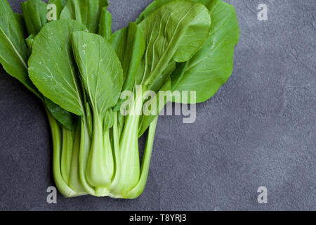 Bok choy frischer Salat. Grauer Hintergrund. Kopieren Sie Platz. Ansicht von oben. Stockfoto