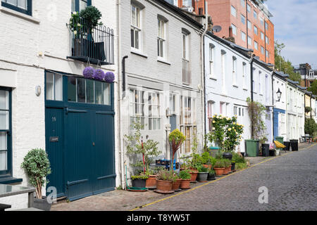 Kleine Bäume und Sträucher in den Behältern außerhalb Häuser in Cranley Mews, South Kensington, SW7, London. England Stockfoto