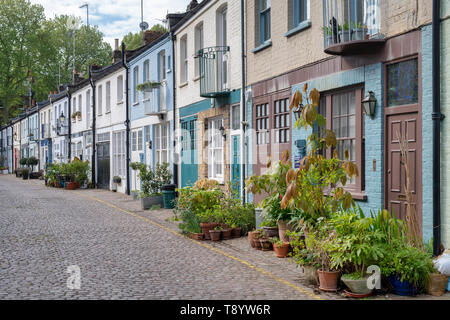 Kleine Bäume und Sträucher in den Behältern außerhalb Häuser in Cranley Mews, South Kensington, SW7, London. England Stockfoto