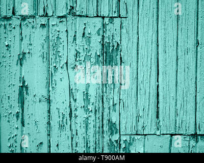 Authentische alte, abgetragene Türkis aqua lackierte Bretter mit abblätternder Farbe blätterte grunge Textur in Seafoam Green für einen zeitgenössischen Sommer Hintergrund Stockfoto