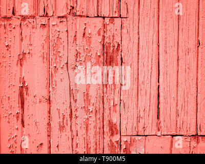 Authentische alte, abgetragene bemalte Holzbretter mit abblätternder Farbe blätterte grunge Hintergrund Holz Textur in Lebende Korallen, Pantone 2019 Farbe des Jahres Stockfoto