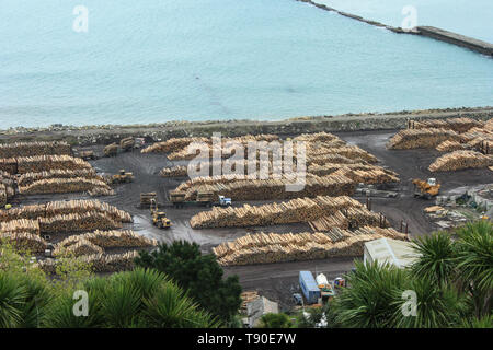 Stapel der Protokolle von holzwirtschaft Neuseelands bereit aus dem Hafen von Napier, Neuseeland exportiert werden Stockfoto