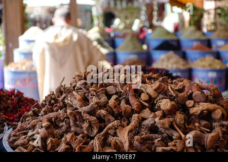 Stapel der getrocknet Ginseng wurzeln in einer traditionellen Spice Shop auf dem Basar in Marrakesch, Marokko Stockfoto