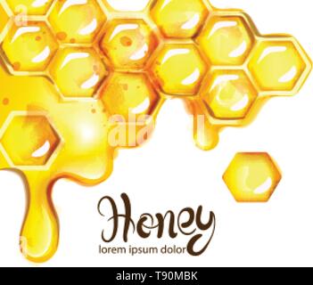 Wabe und Bienen Vektor aquarell Vorlage. weißer Hintergrund Stock Vektor