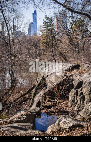 In den Wäldern des Central Park, eine grüne Oase in der Mitte der Wolkenkratzer Wald in der Upper Manhattan in New York Stockfoto