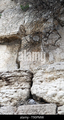 Western Wall Jerusalem Altstadt Israel Stockfoto