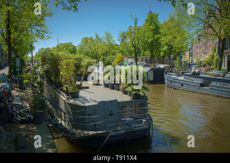 Grün auf einer Gracht in Amsterdam. Topfpflanzen bilden eine Dachterrasse auf einem Hausboot. Stockfoto