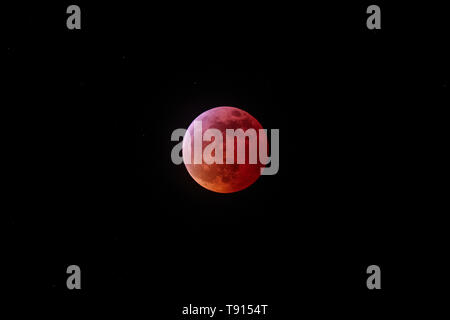 Super Blut Wolf Mond von Jan 20, 2019 von Penticton, British Columbia, Kanada gefangen. Stockfoto