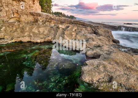 Botanical Beach, Juan de Fuca Trail, Port Renfrew, Vancouver Island, BC, Kanada Stockfoto