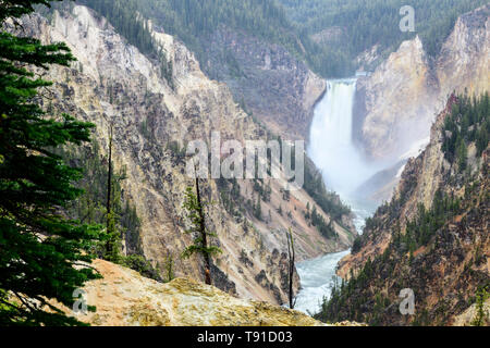 Der Yellowstone River fließt über den unteren Yellowstone fällt in der Grand Canyon im Yellowstone. Es ist im Yellowstone National Park in Wyoming, USA. Stockfoto