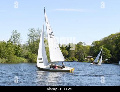 Holz Ende, River Yare, Nr Norwich, England, UK. 16. Mai, 2019.de Wetter-gänschen auf dem River Yare in der Norfolk Broads an einem hellen und luftigen Tag Credit: Kay Roxby/Alamy leben Nachrichten Stockfoto