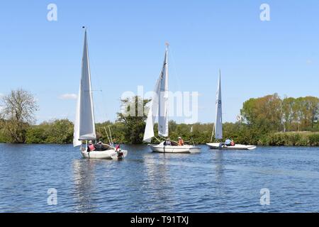 Holz Ende, River Yare, Nr Norwich, England, UK. 16. Mai, 2019.de Wetter-gänschen auf dem River Yare in der Norfolk Broads an einem hellen und luftigen Tag Credit: Kay Roxby/Alamy leben Nachrichten Stockfoto