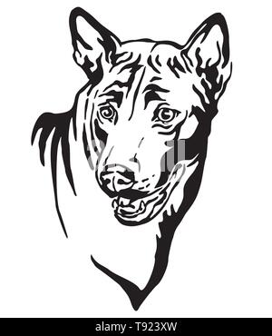 Dekorative Umrisse Portrait von Hund Thai Ridgeback suchen im Profil, Vector Illustration in schwarzer Farbe auf weißem Hintergrund. Bild für Desig Stock Vektor