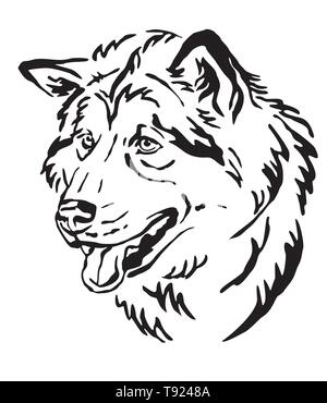 Dekorative Umrisse Portrait von Hunde Alaskan Malamute suchen im Profil, Vector Illustration in schwarzer Farbe auf weißem Hintergrund. Bild für des Stock Vektor