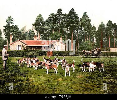 Ziehen Sie die Jagdhunde, Royal Staff College, Camberley, Surrey, England. Stockfoto