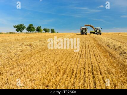 Ballenpresse entlädt Strohballen auf den Traktor, Stoppeln Feld unter blauem Himmel, Alsleben, Sachsen-Anhalt, Deutschland Stockfoto