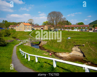 Häuser in Hutton le Hole North Yorkshire wo ein Strom durch die grünen Wiesen in der Mitte des Dorfes läuft Stockfoto