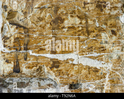 Typische Detail einer alten italienischen Hauswand, Aus handgeschnitzten Fluss Steine. Stockfoto