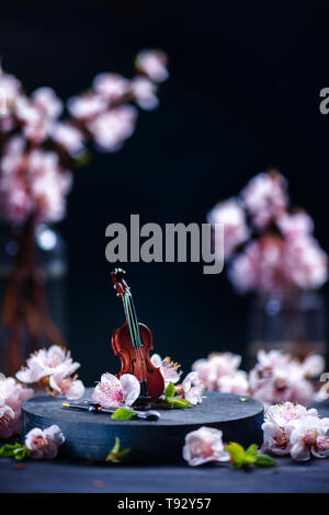 Kleine Geige mit rosa Kirschblüte auf einem dunklen Hintergrund mit kopieren. Frühjahr Musik Konzept. Stockfoto