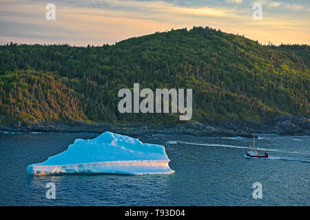 Eisberg in La Scie Hafen aus den Atlantischen Ozean, Baie Verte Halbinsel, La Scie, Neufundland und Labrador, Kanada Stockfoto