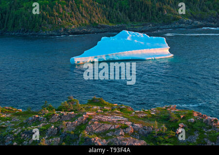 Eisberg in La Scie Hafen aus den Atlantischen Ozean, Baie Verte Halbinsel, La Scie, Neufundland und Labrador, Kanada Stockfoto