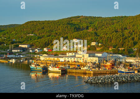 Fischerdorf in La Scie Hafen aus den Atlantischen Ozean, Baie Verte Halbinsel, La Scie, Neufundland und Labrador, Kanada Stockfoto