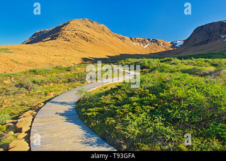 Boardwalk auf Trail in den Tablelands bei Sonnenuntergang. Der Erdmantel ausgesetzt. Gros Morne National Park, Neufundland und Labrador, Kanada Stockfoto