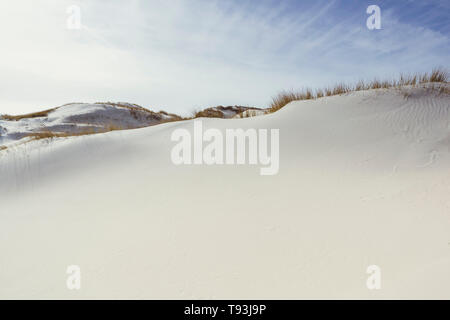 Helle Landschaft der weißen Sanddünen, trockenes Gras auf Hügeln und Sonne am Himmel in der Nordseeküste. Malerischer Blick von niedrigen Winkel, Amrum, Deutschland, Schleswi Stockfoto