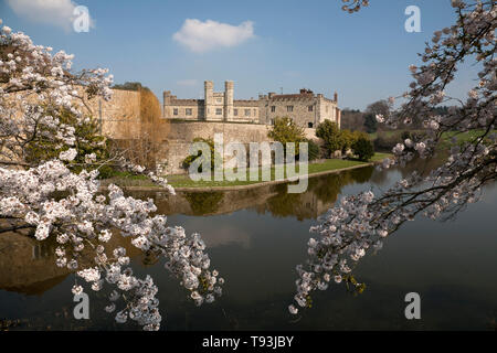 Blüte und Wassergraben Schloss Leeds England kent Maidstone Stockfoto