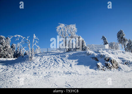 Die winterliche Landschaft mit schneebedeckten Tannen auf dem Gipfel des Wurmberges - Berg, Niedersachsen Nationalpark Harz, Braunlage, Deutschland Stockfoto
