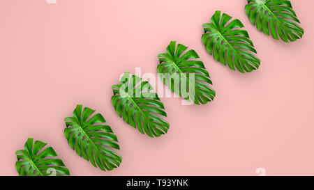 Realistische Palmblättern auf Korallen leben Hintergrund für kosmetische ad oder modeillustration. Tropische frame exotische Banane Palm. Verkauf Banner Design. 3D Stockfoto